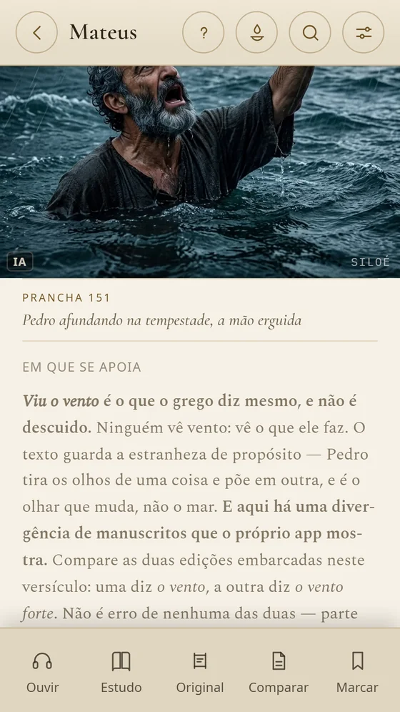 Nota da prancha 151, explicando o que o grego diz sobre o vento.